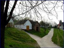 Villány-Virágosi pincesor