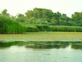 Tisza-tavi Madárrezervátum TT – 2. kép