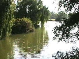 Erdőspuszták – 5. kép