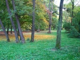 Parádfürdői park – 2. kép
