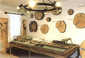 Erdészeti Múzeum – 3. kép