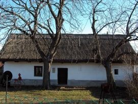 Kapásház – 5. kép