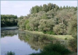 Hármas-Körös és Ártere – 2. kép