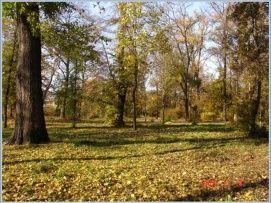 Erzsébet Liget – 2. kép