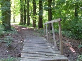 Zichy-kúria parkja – 2. kép
