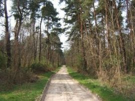 Boronka-melléki TK – 2. kép