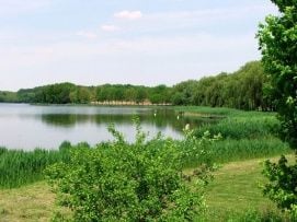Desedai Parkerdő és Arborétum