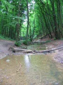 Gaja-patak – 3. kép