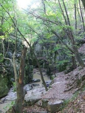 Gaja-patak – 5. kép