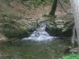 Római fürdő – 5. kép