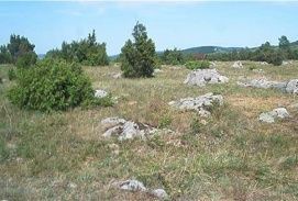 Kőtenger – 2. kép