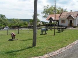Természetvédelmi Major – 5. kép