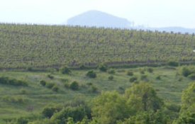 Tokaji történelmi borvidék kulturtáj (2002) – 2. kép
