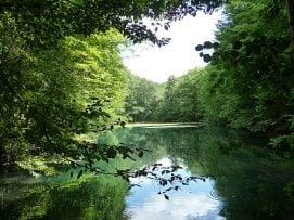 Aggteleki Nemzeti Park  – 4. kép