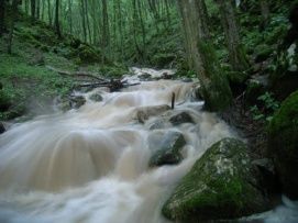 Aggteleki Nemzeti Park  – 5. kép