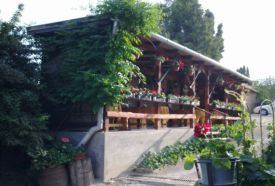 Aranyhorog Vendégház és Étterem – 2. kép