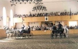 Bábolna Nemzeti Ménesbirtok – 4. kép