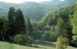 Boroszlán tanösvény - Magas-Bakony TK
