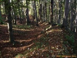 Bakonyújvár romjai – 2. kép