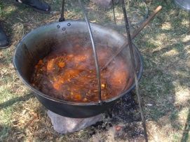 A Balaton környék gasztronómiája – 2. kép