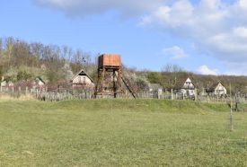 Balatoni Madárkert- díszmadár és kisállatpark – 3. kép