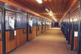 Balogh Liget Lovas klub – 2. kép