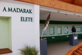 Bechtold István Természetvédelmi Látogatóközpont – 4. kép