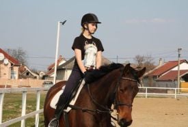 Bíbor Horse Lovasklub – 3. kép