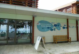 Bodorka Balaton Aquarium – 2. kép