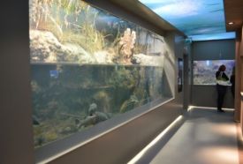 Bodorka Balaton Aquarium