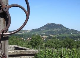Borbély Családi Pincészet  – 3. kép
