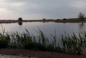 Börgöndpuszta Horgászparadicsom Szabadidőközpont – 4. kép