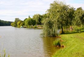 Borostyán-tó – 4. kép