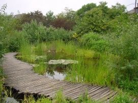 Budai arborétum