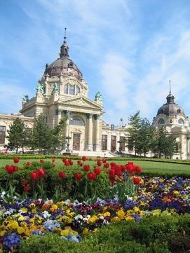 Széchenyi Gyógyfürdő és Uszoda – 5. kép