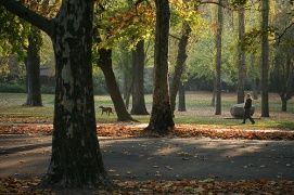 Városliget