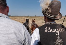 Bugac puszta – 3. kép