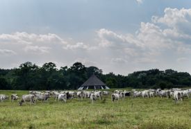 Bugaci Pásztormúzeum – 2. kép