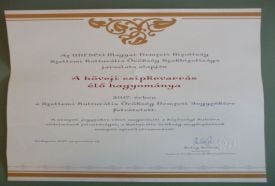 Csipkemúzeum és Helytörténeti Gyűjtemény – 3. kép