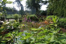 Debreceni Állatkert és Vidámpark – 5. kép