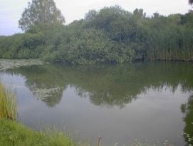 Duna-Dráva Nemzeti Park – 2. kép