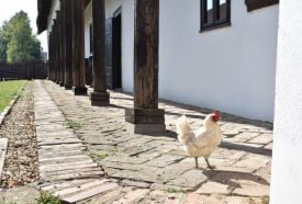 Endrődi Tájház és Helytörténeti Gyűjtemény