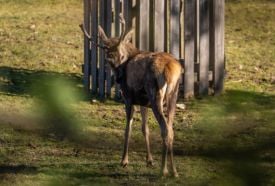 Erdő Háza Ökoturisztikai Látogatóközpont és Vadaspark