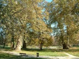 Esterházy kastélypark