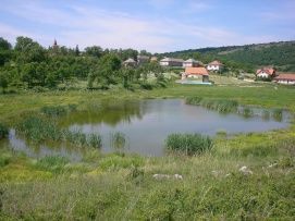 Felszíni túrák az Aggteleki Nemzeti Parkban – 2. kép