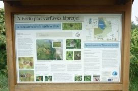 Fertő-Hanság Nemzeti Park – 2. kép