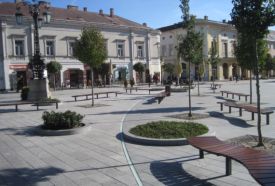 Fő utcai indaminta – 2. kép