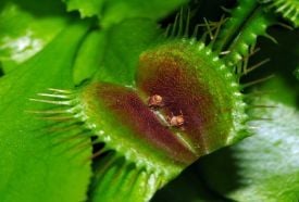 Fővárosi Állat és Növénykert – 2. kép
