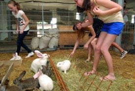 Garabonciás 7 Vezér Történelmi Kalandfarm