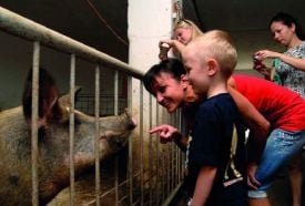 Garabonciás 7 Vezér Történelmi Kalandfarm – 3. kép